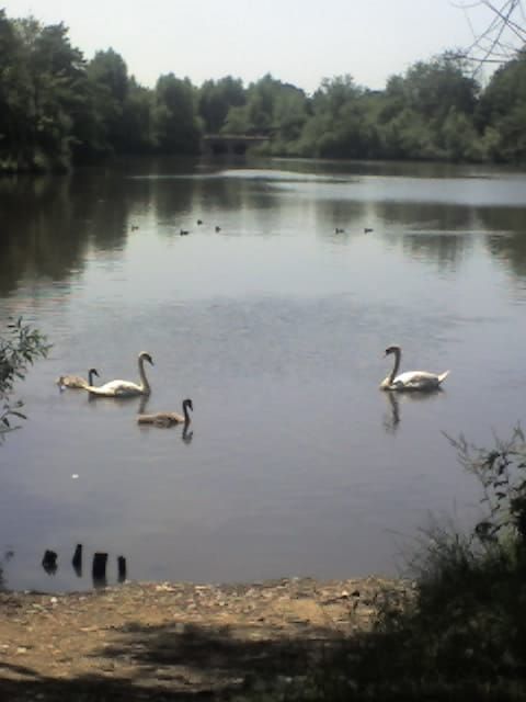 Hillsdale Reservoir