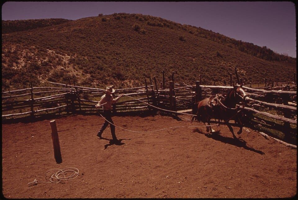 Cow Pen Creek