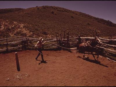 Cow Pen Creek