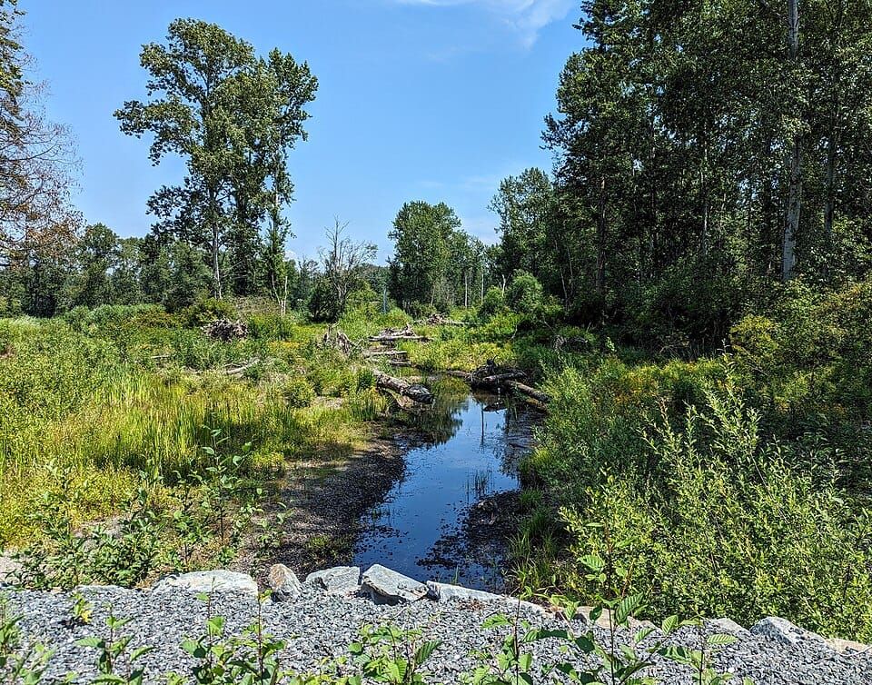 Bug Lake