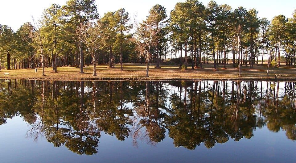 Wilson Lake