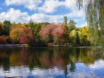 Woodlands Lake