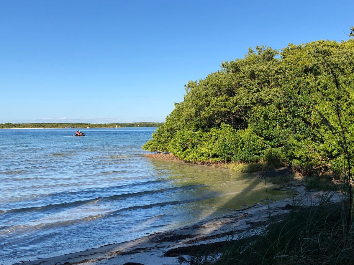 North Beach At Fort DeSoto Park