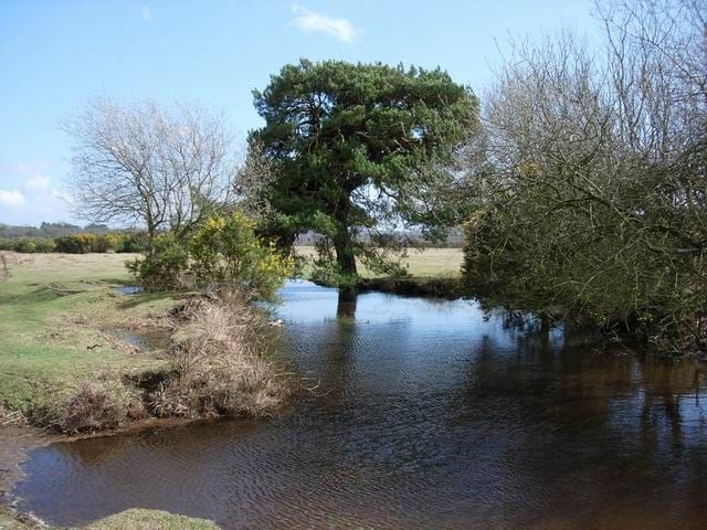 White Pond