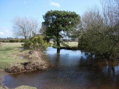 White Pond