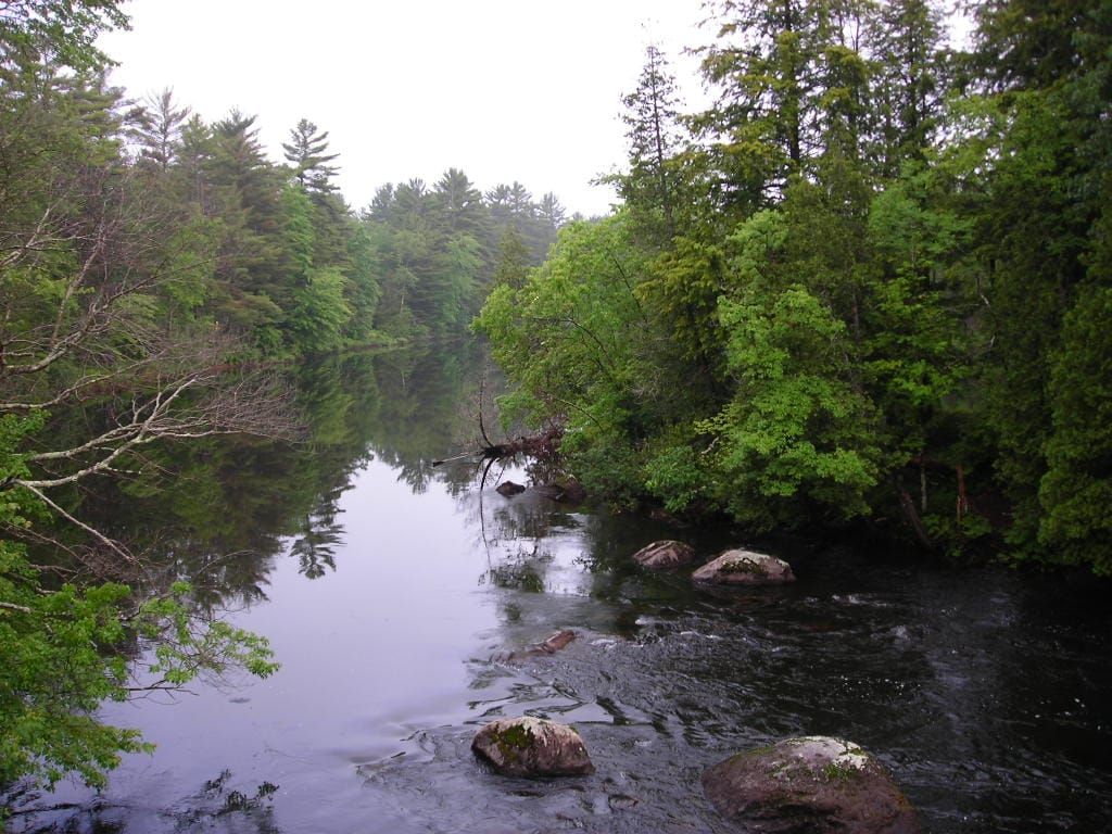 Brant Lake