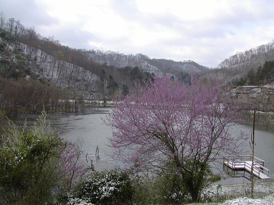 Carr Creek Lake