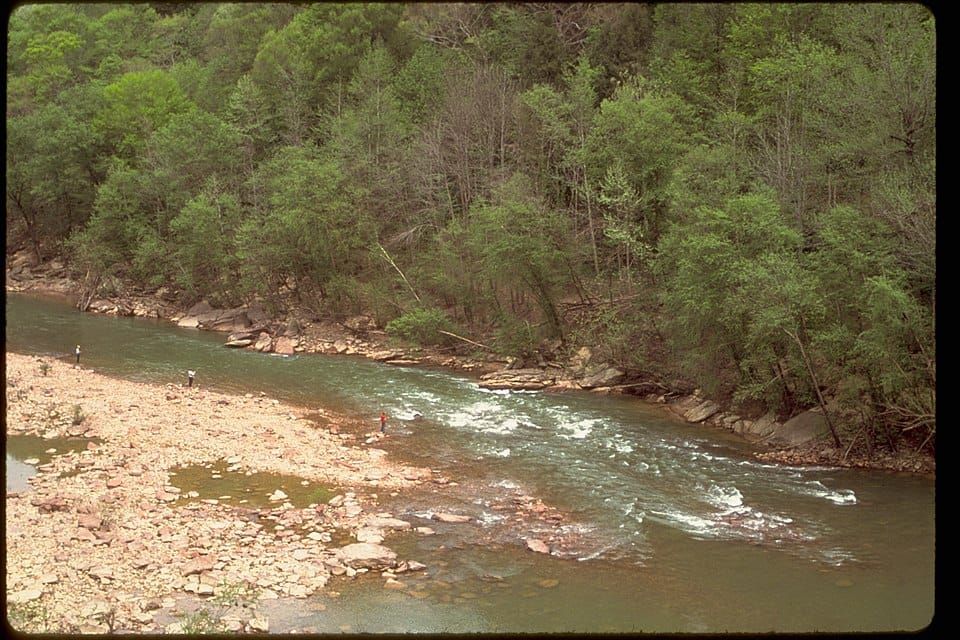 Obed Wild And Scenic River