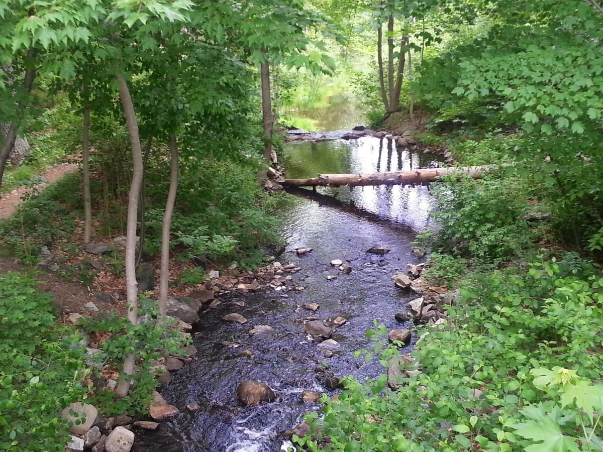 Mine Falls Park