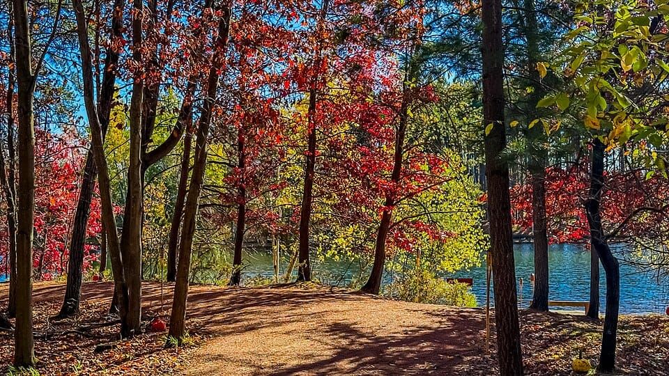 Lake Joanis