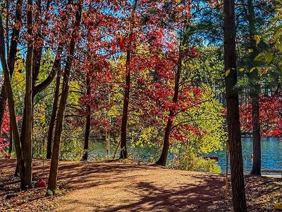 Lake Joanis