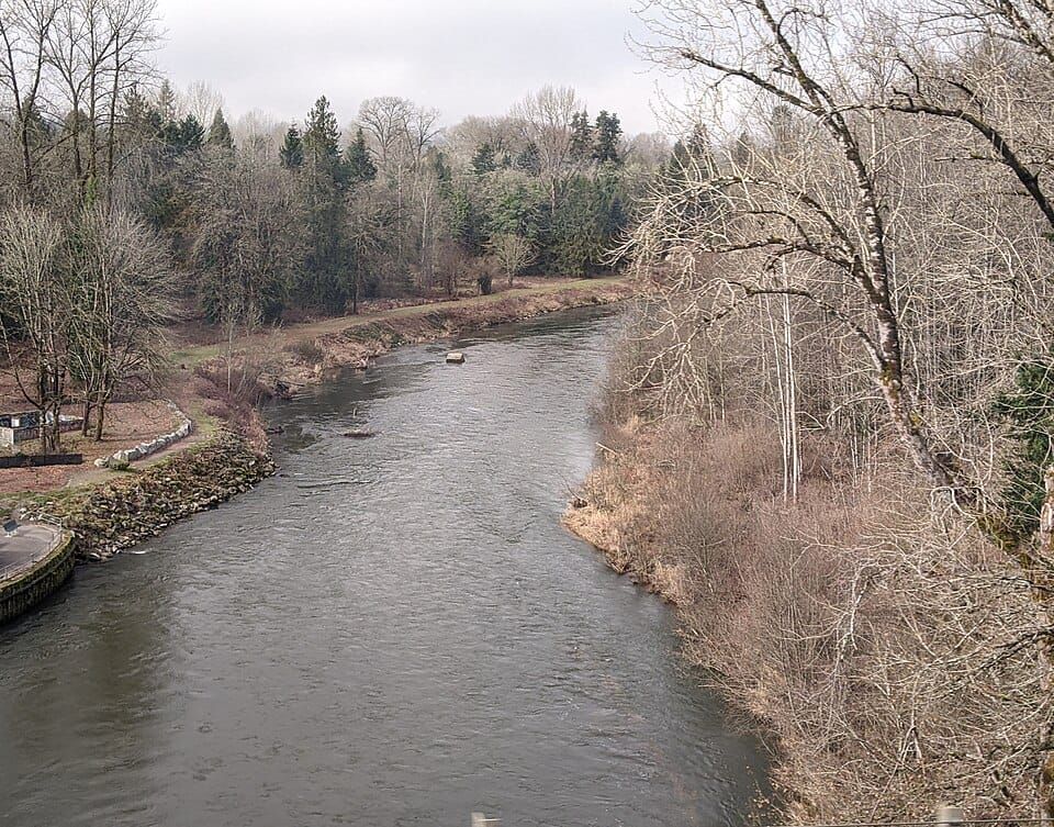 Nisqually River Public Access