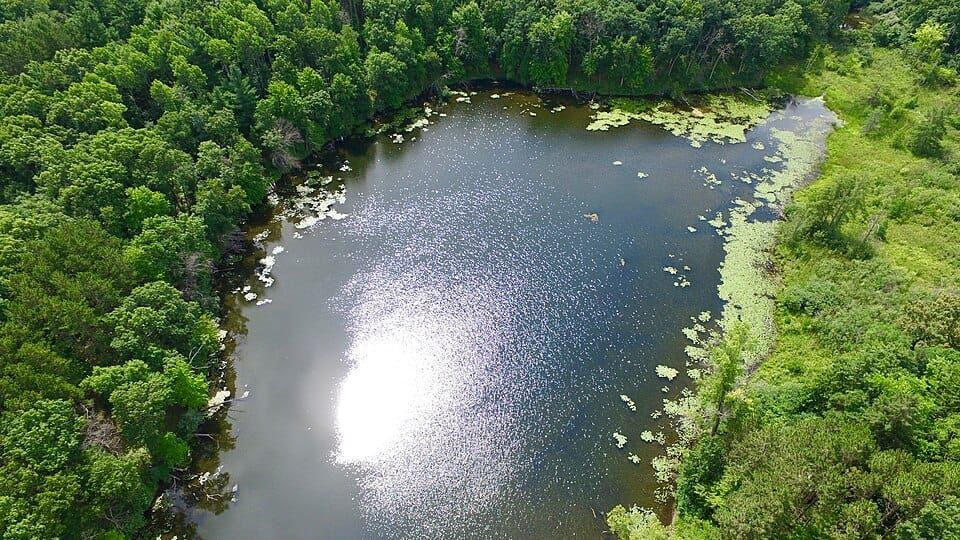 Lake Marion