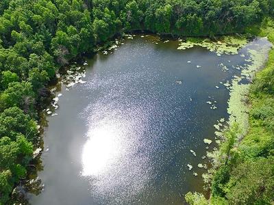 Lake Marion