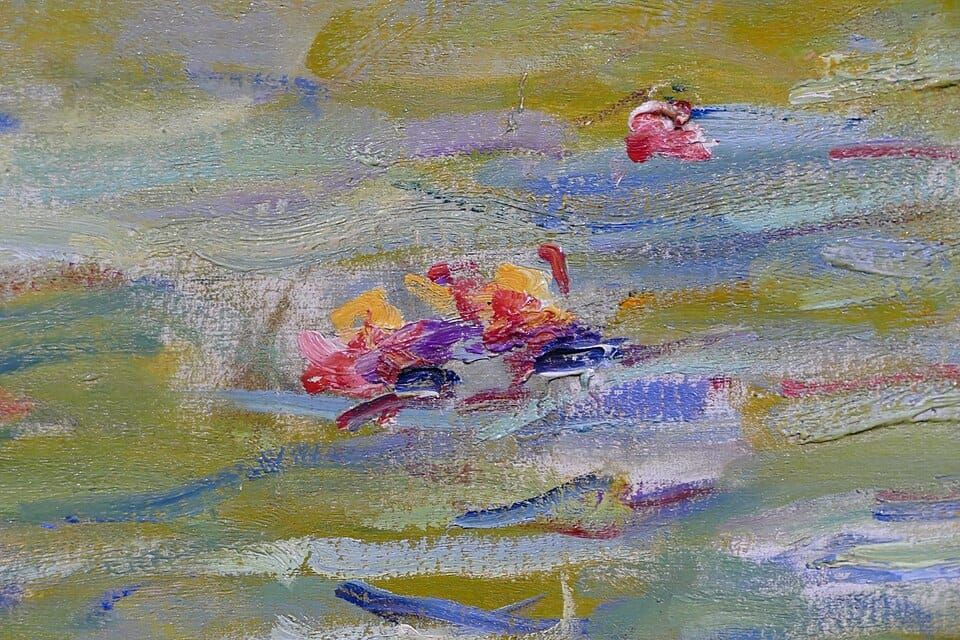 Lily Pond