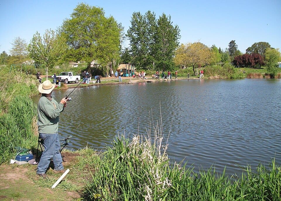 Bluegill Lake