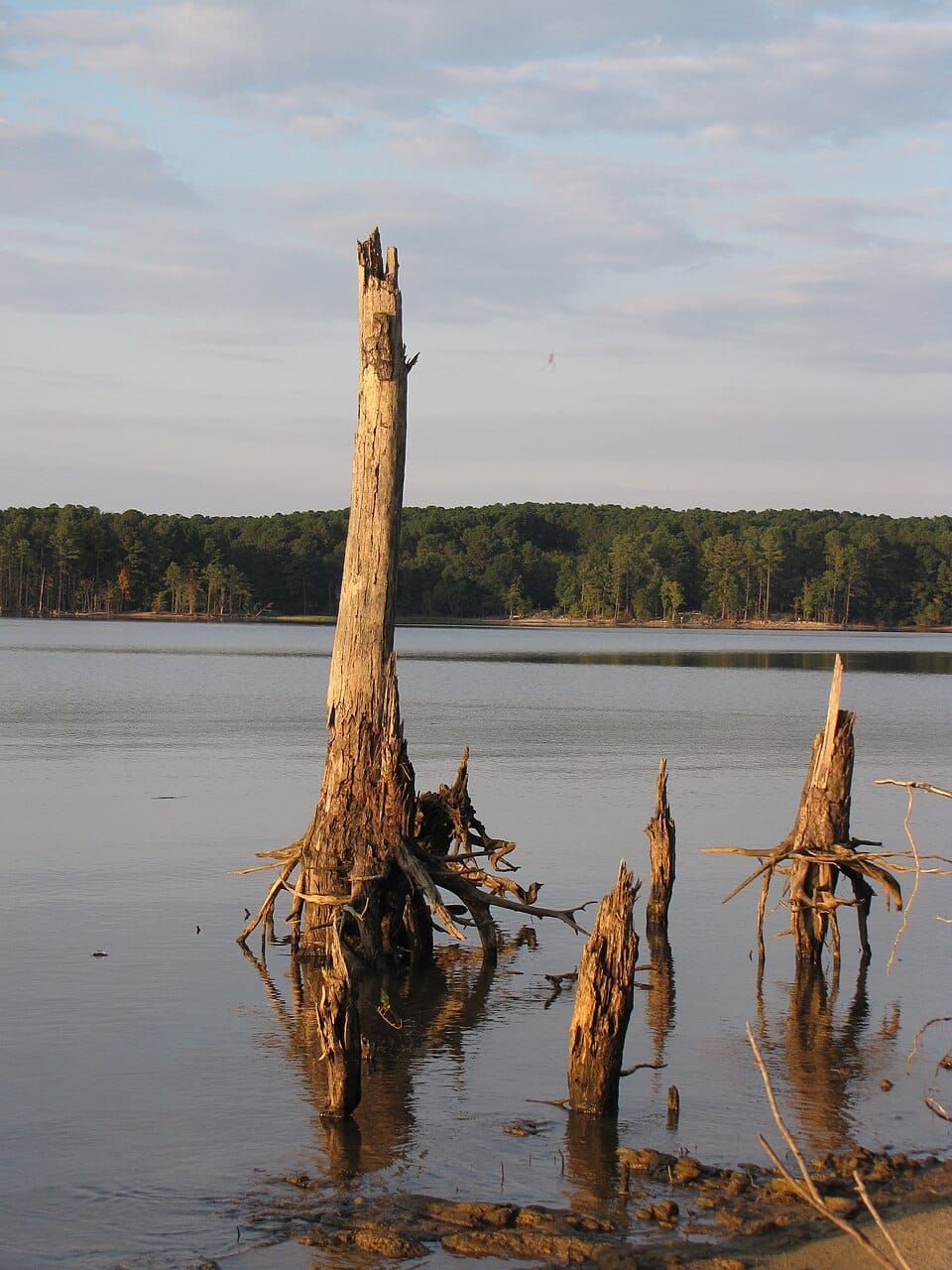 Jordan Lake