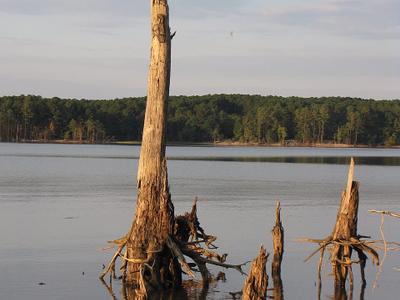 Jordan Lake