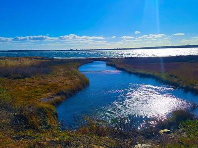 Lake Montauk