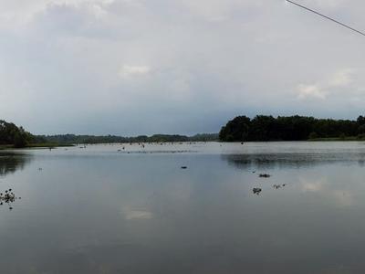 Lake Decatur