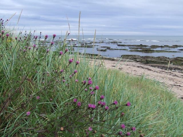 West Beach Park