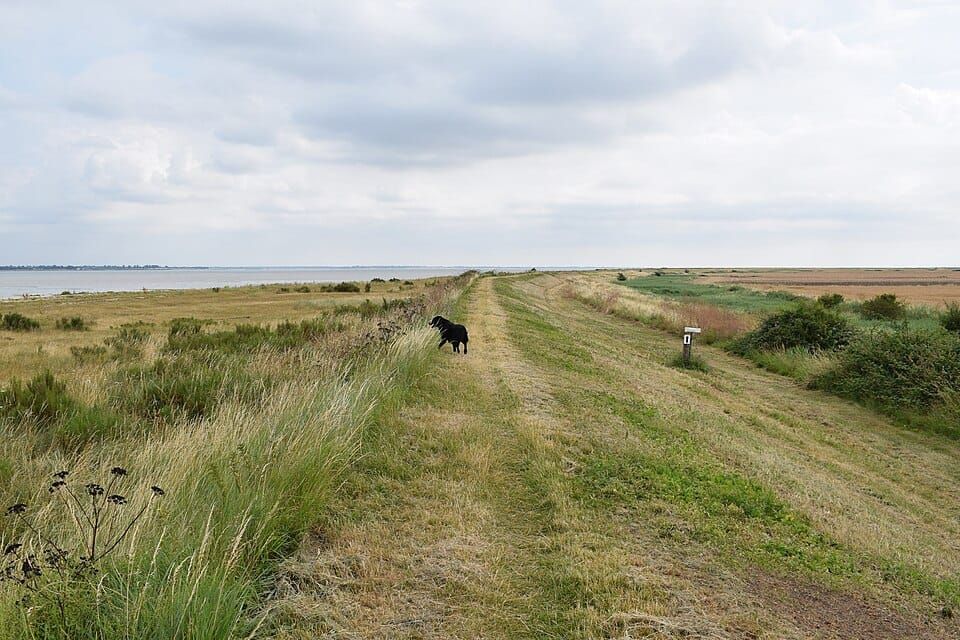 Weymarks Beach