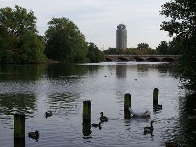 The Serpentine