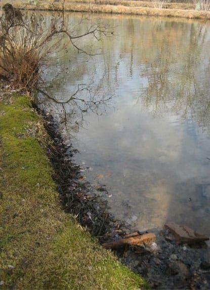 Pond 4