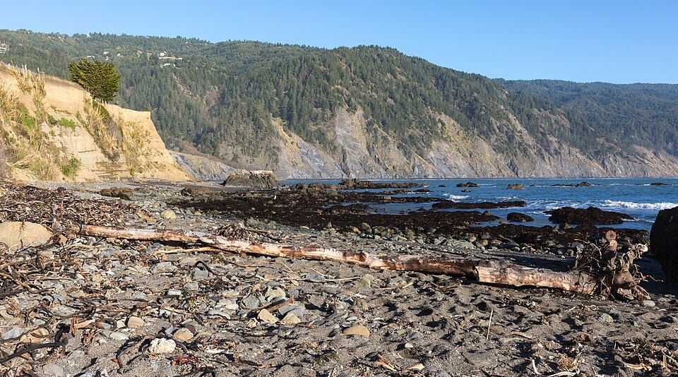 Cove Beach