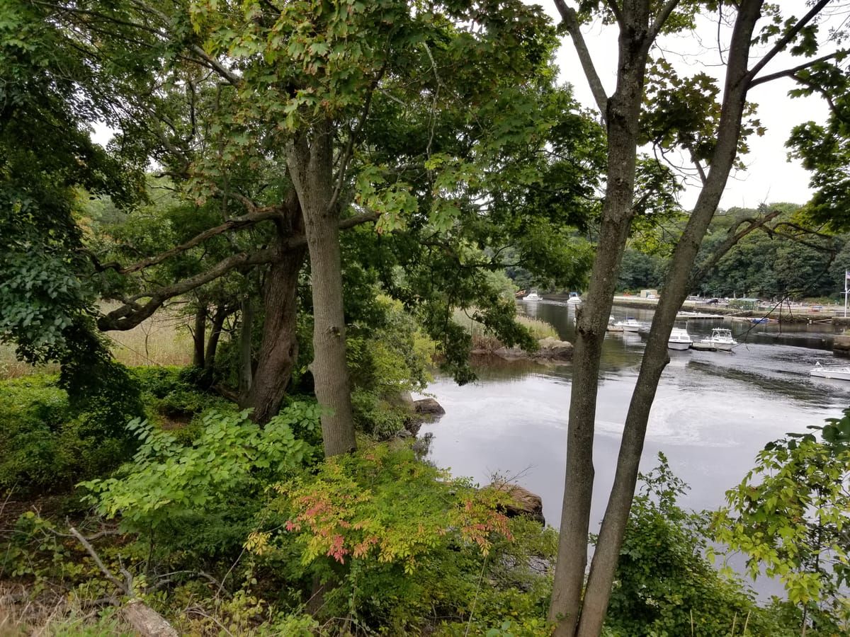 Neponset River Reservation