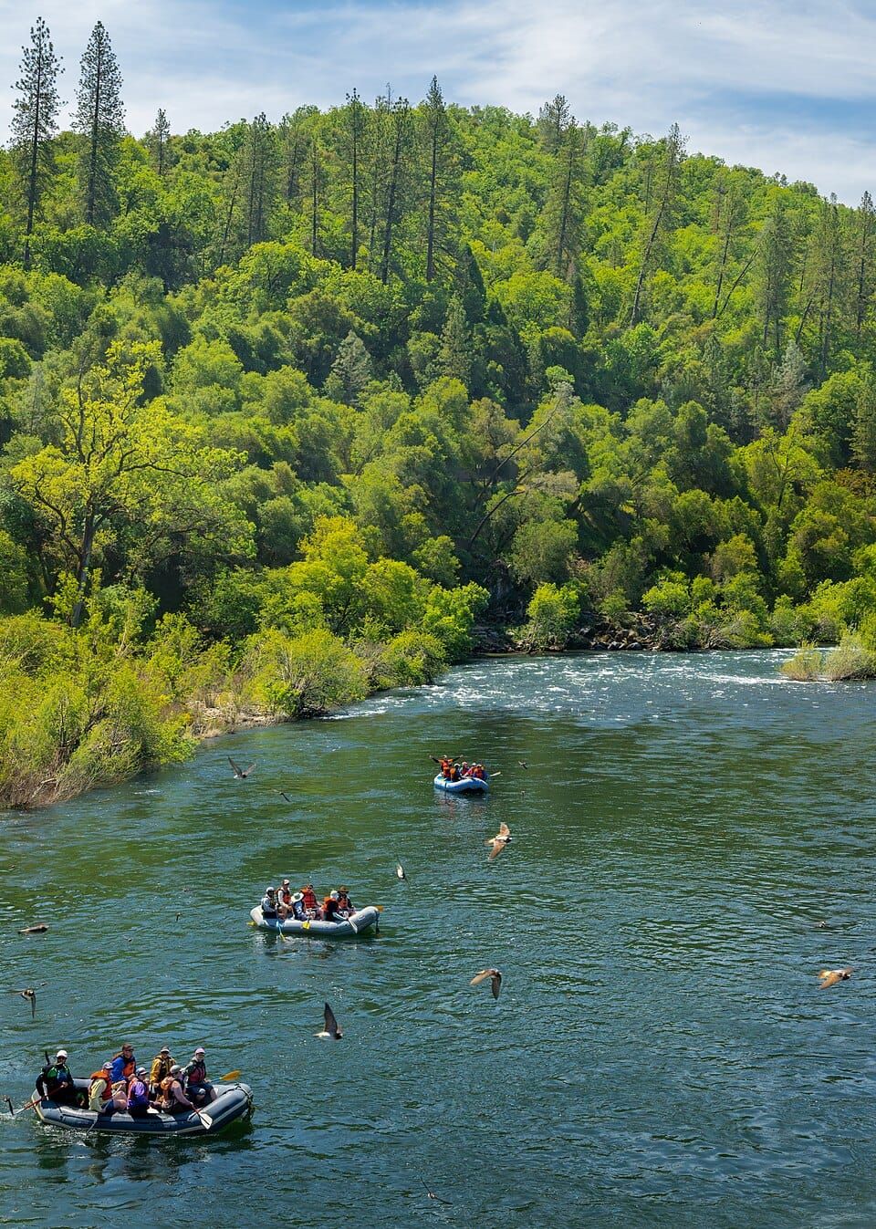 South Fork Whitewater River