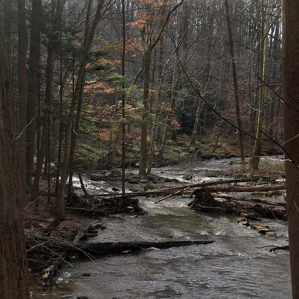 Middle Creek Reservoir