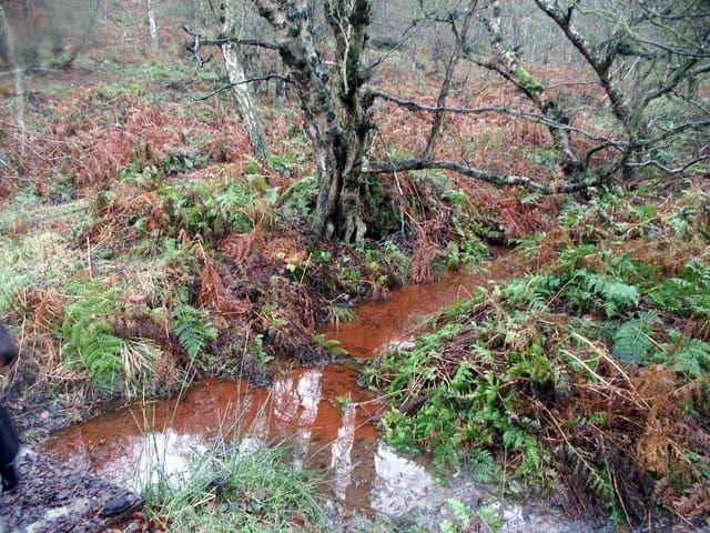 Irn Bru Springs