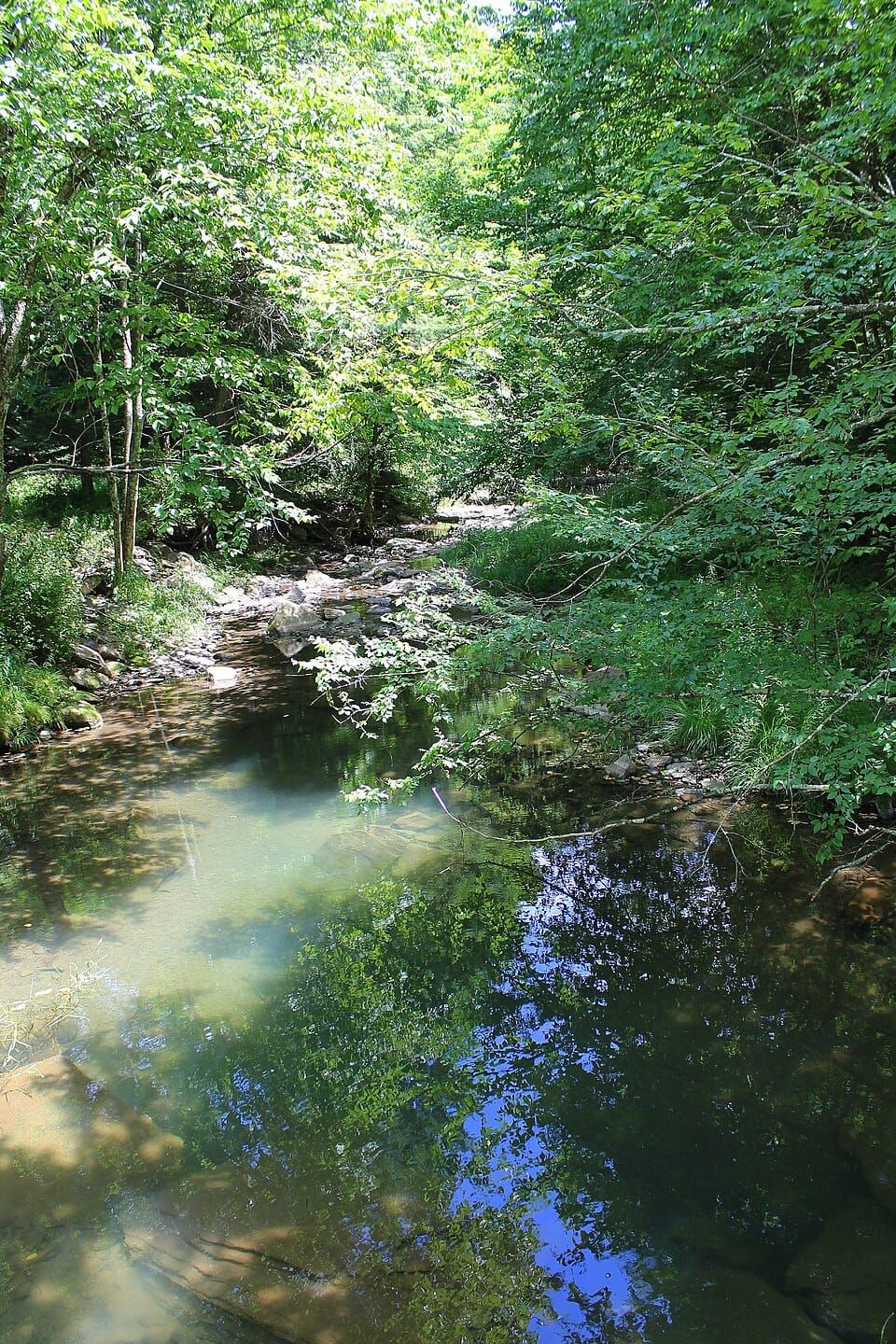 Monroe Creek