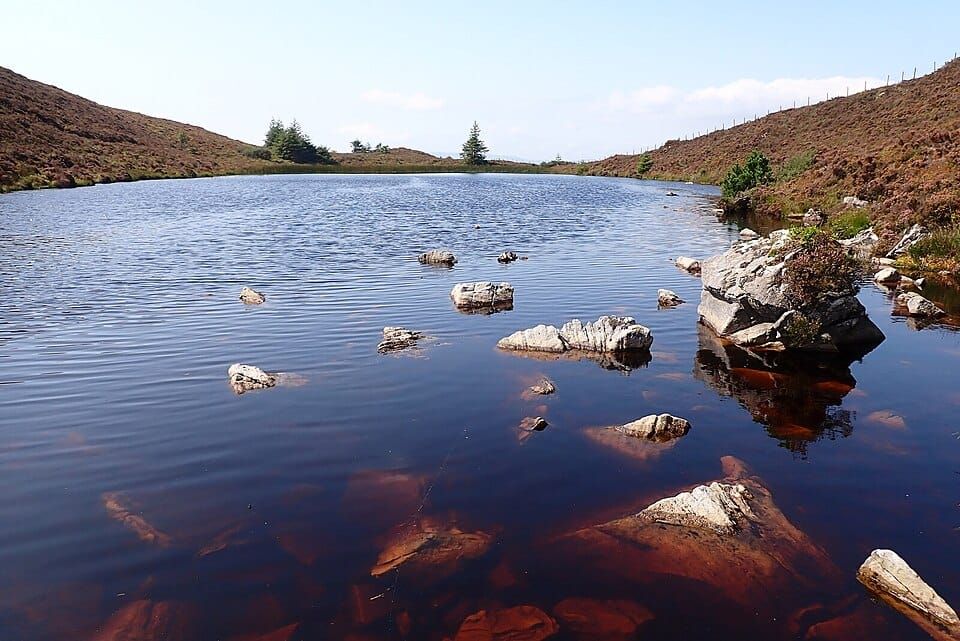 Lough an Albany