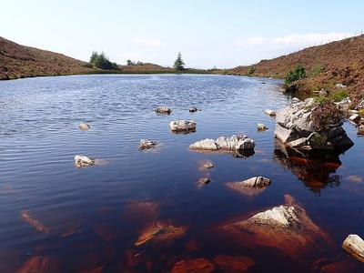 Lough an Albany