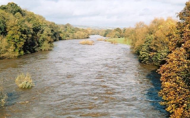 River Wye/Afon Gwy