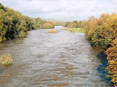 River Wye/Afon Gwy