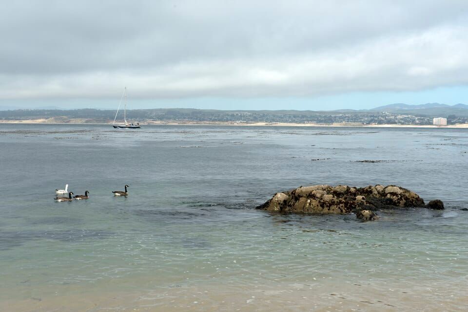 Macabee Beach