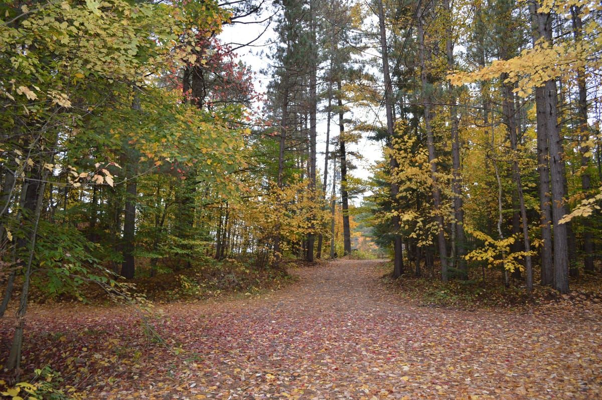 South Pond