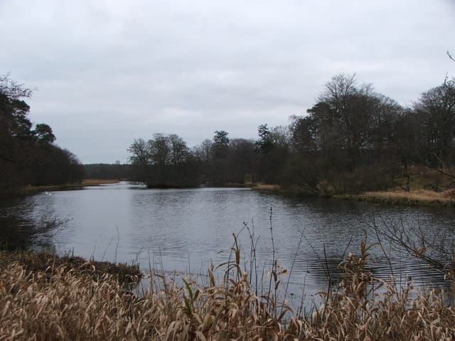 Kelly Lake