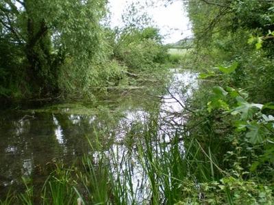 Wellhead Springs