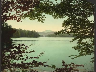 Loon Lake