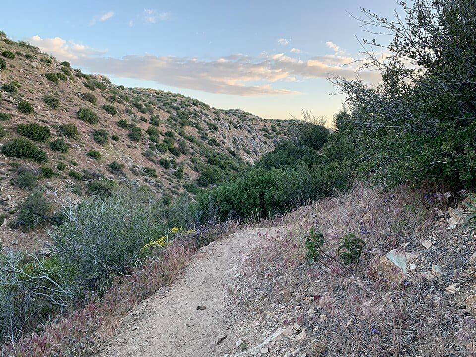Bradford Creek