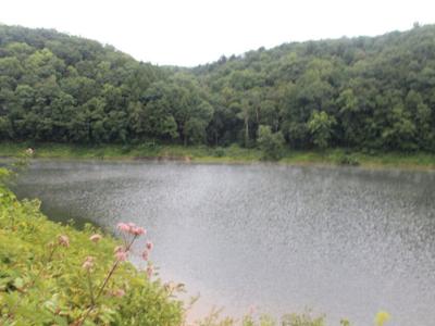 Tionesta Lake
