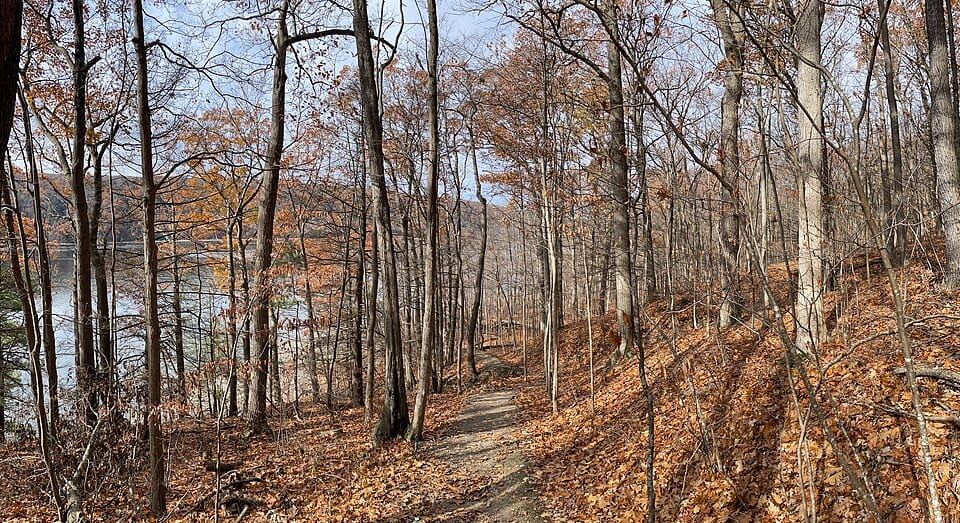 Hemlock Lake