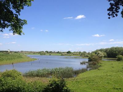 Salt Pan