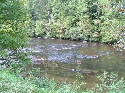 Tellico River