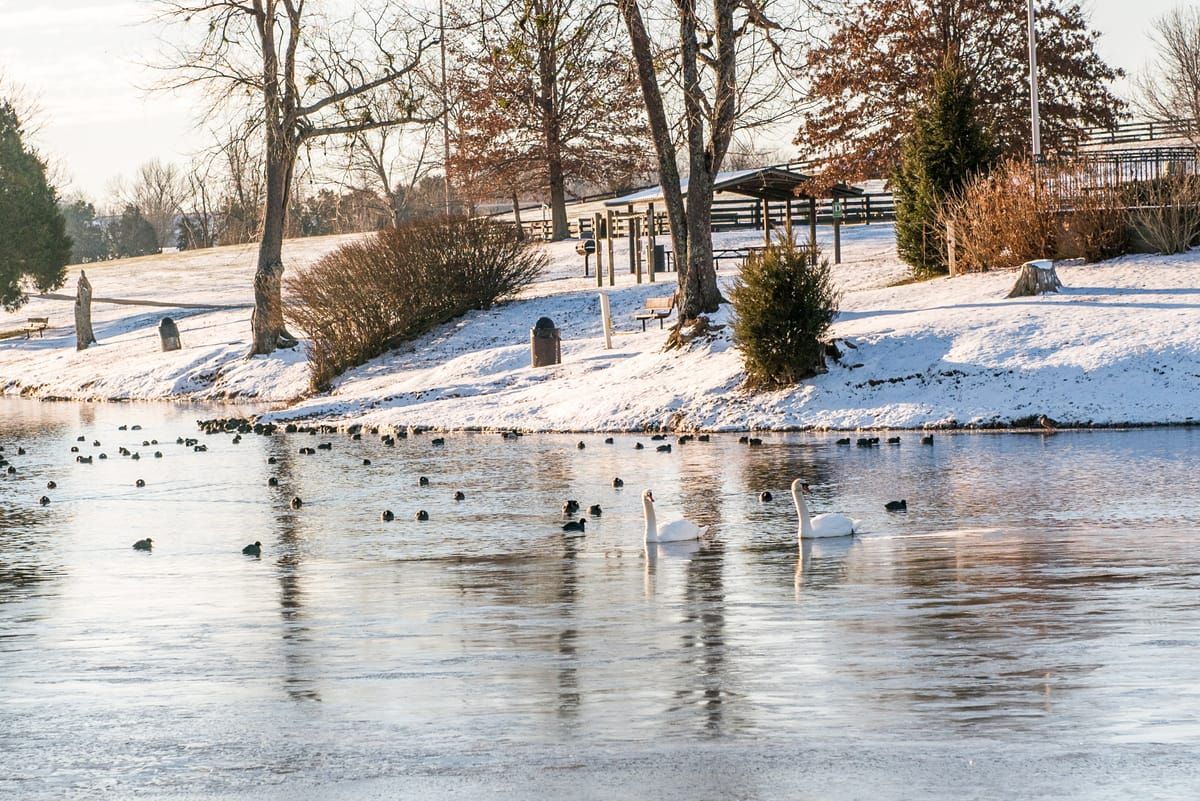 Lake Reba Park