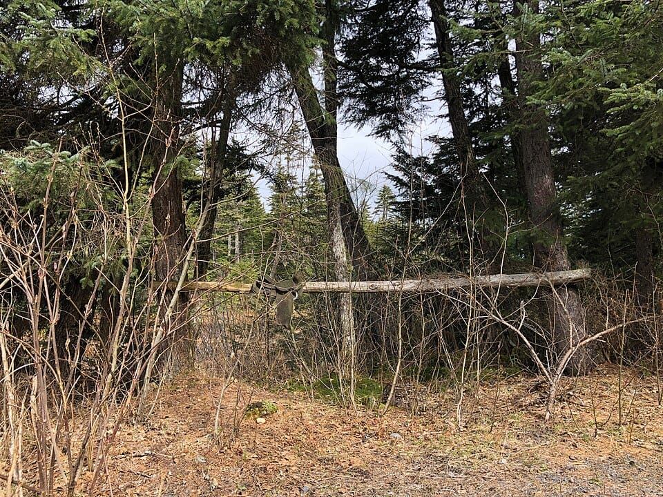 Bear Lake Public Access Beach